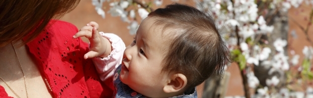 ドナーやご親族からの提供精子および卵子による体外受精